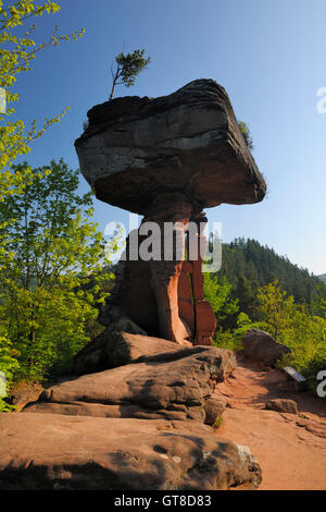 Der Teufelstisch Rock Formation, Teufelstisch, Hinterweidenthal, Pfaelzerwald, Rheinland-Pfalz, Deutschland Stockfoto