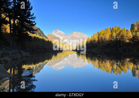 Lai da Palpuogna im Herbst, Albulapass, Bergün, Graubünden, Schweiz Stockfoto