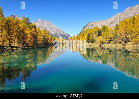 Reflexion der Berge im See, Lai da Palpuogna, Albulapass, Graubünden, Schweiz Stockfoto