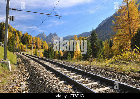 Gleise im Herbst, Preda, Albula Pass, Graubünden, Schweiz Stockfoto