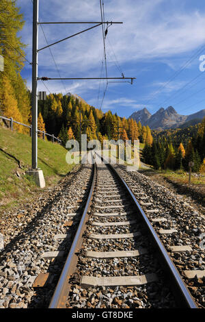 Gleise im Herbst, Preda, Albula Pass, Graubünden, Schweiz Stockfoto