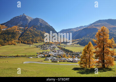 La Punt-Chamues-ch im Herbst, Maloja, Kanton Graubünden, Schweiz Stockfoto