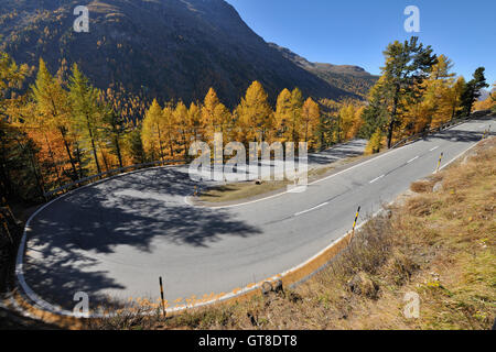 Haarnadel wiederum Berninapass, Pontresina, Kanton Graubünden, Schweiz Stockfoto