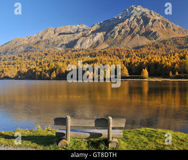 Holzbank am Seeufer, Silsersee, Maloja, Engadin, Kanton Graubünden, Schweiz Stockfoto