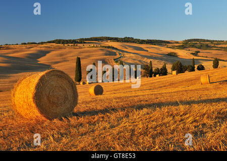 Heuballen, Provinz Siena, Toskana, Italien Stockfoto