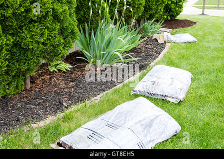 Garten arbeiten im Frühjahr die Pflanzen in Beeten neben dem Haus mit Bio Mulch wie Rinde oder Hackschnitzel-Mulchen Stockfoto