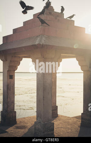 Tauben thront auf Dach des hinduistischen brennen Ghat, Somnath Tempel, Triveni Mahasangam, Veraval, Gujarat, Indien Stockfoto