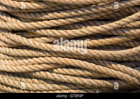 Seil im Hafen Hirtshals, Nordjütland, Dänemark Stockfoto