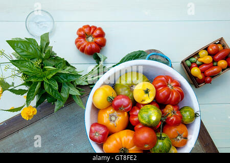 Draufsicht der Schüssel Heirloom Tomatoes und Bund frischer Basilikum auf Tisch Stockfoto