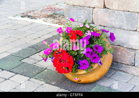 Dekorative Anzeige von bunten Blumen in einem geneigten Terrakotta Blumentopf steht bei Te Kante eines Gebäudes auf einem Backstein gepflasterte Terrasse Stockfoto