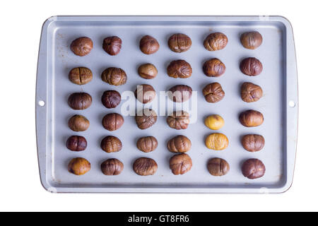 Ganze gebratene Kastanien übersichtlich in Reihen auf einem Bräter Tablett für einen leckeren Snack Herbst, Draufsicht isoliert am Pfingstmontag Stockfoto