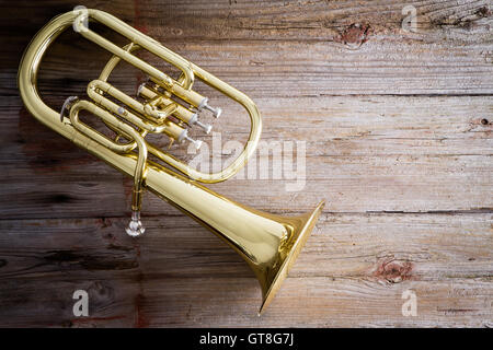 Glänzende Bariton Horn Musikinstrument auf einem Holzfußboden mit textfreiraum auf der rechten Seite. Stockfoto