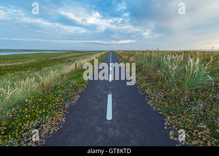 Radweg auf der Landzunge am Morgen, Thy Nationalpark, Agger, Nord-Jütland, Dänemark Stockfoto