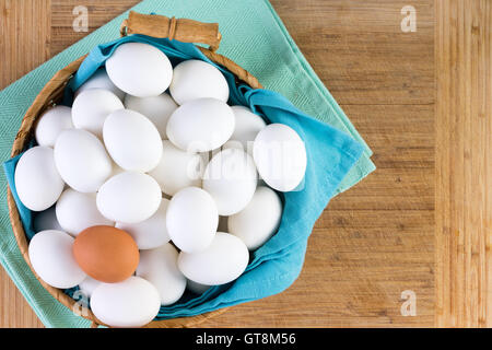 Weidenkorb voller weißen Eiern mit einem braunen Ei auf der Oberseite in ein Konzeptbild von Vielfalt und Individualität, overhead vi Stockfoto