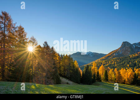 Berg mit schön gefärbten Lärchen und Sonne, Vigo di Fassa, Dolomiten, Trentino-Alto Adige, South Tirol, Italien, Europa Stockfoto