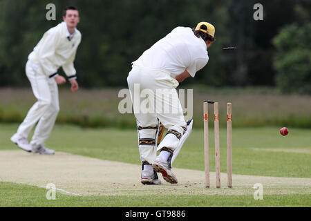 M Roe von Havering, G Pearson - Navestock Ardleigh grün CC Vs Havering Atte Bower Schalen CC 2. XI - Mitte Essex Cricket League an Navestock Seite - 16.06.12 Stockfoto