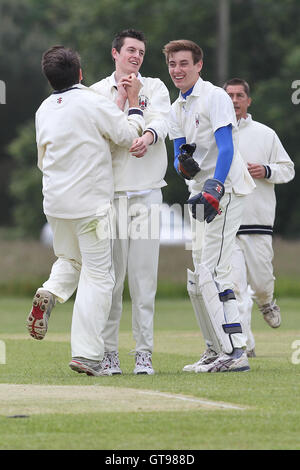 Schalen aus G Pearson und feiert - Navestock Ardleigh grün CC Vs Havering Atte Bower M Roe von Havering CC 2. XI - Mitte Essex Cricket League an Navestock Seite - 16.06.12 Stockfoto