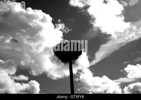 Storch, Storchennest, Nest, Storch nest Turm, Storch Socket, Silhouette, Storch nisten silhouette Stockfoto