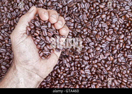 Draufsicht auf der Hand, die Kaffeebohnen während gegen einen Haufen gelegt mehr Stockfoto