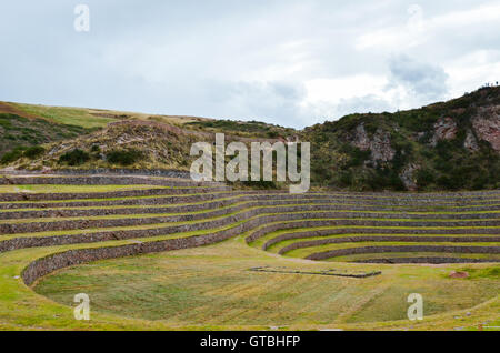 Alten Inka kreisförmige landwirtschaftlichen Terrassen am Moray verwendet, um die Auswirkungen der unterschiedlichen klimatischen Bedingungen auf Pflanzen zu studieren Stockfoto