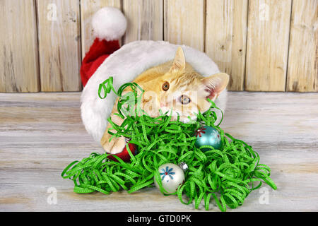 Tabby Kitten in Weihnachtsmütze mit Ornamenten und Grünband auf Holz. Stockfoto