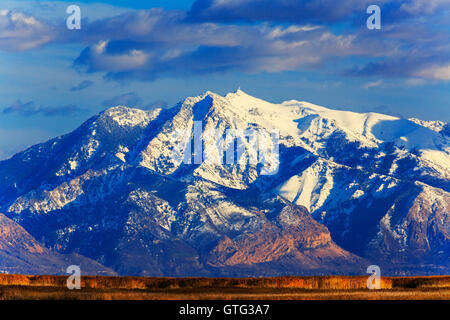 Dies ist eine Ansicht des Mount Ogden, wie von der Bear River Migratory Bird Hütte nach Nordwesten gesehen. Stockfoto