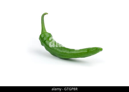 Heiße Paprika/s isoliert auf weißem Hintergrund. Schneidepfad in Jpeg aufgenommen. Stockfoto