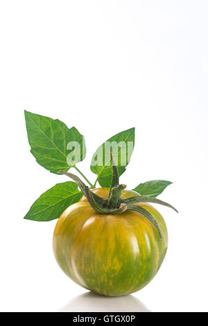 Erbstück Green Zebra Tomate auf weißem Hintergrund Stockfoto