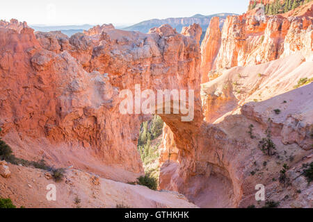 Natural Bridge Morgen Farben, Bryce-Canyon-Nationalpark, Utah, USA Stockfoto