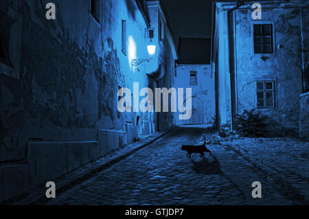 schwarze Katze kreuzt die verlassene Straße in der Nacht Stockfoto