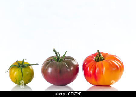 verschiedene alte Sorte Tomaten isoliert auf weiss Stockfoto