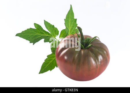 eine isolierte dunkel rote Erbstück-Tomaten mit Blatt Stockfoto