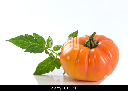 Eine isolierte gelb und orange Zebra Heirloom Tomaten Stockfoto