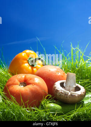 Buntes frisches Gemüse, Feld Tomaten, Cremini-Pilze, Paprika und Gurken in grüne Wiese unter blauem Himmel künstlerische Essen s Stockfoto