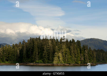 Icy Strait. Glacier Bay National Park and Preserve. Chichagof Island. Juneau. Südost-Alaska. Heute ist der letzte Tag der exp Stockfoto