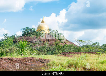 Phurungka National Prak Stockfoto