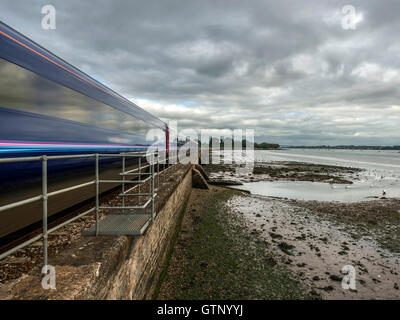 Abbildenden malerischen erstes Great Western Riviera Eisenbahnlinie entlang Fluß Exe an erstritt, mit einem vorbeifahrenden Zug Landschaft. Stockfoto