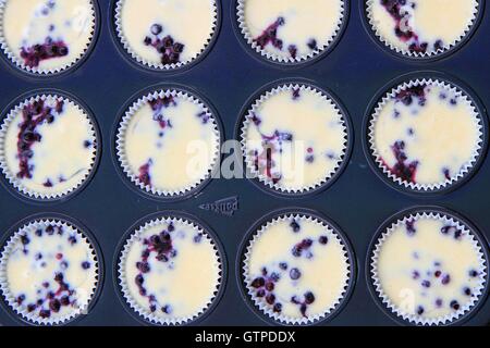 Ungekocht Blueburry Muffins in Dose Stockfoto