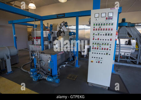 Pieralisi Olive Press, Steinmühle, Schleifen geerntete Oliven, runden Teich Estate Olive Mill, Rutherford, Napa Valley, Kalifornien Stockfoto