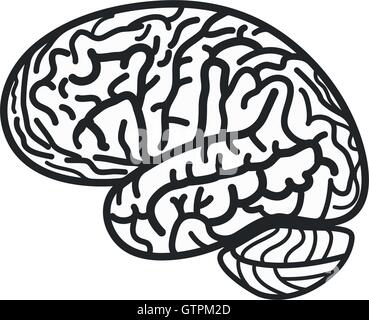 Isolierte schwarz-weiß Gehirn Kontur Vektor-Logo. Gyrus Silhouette Schriftzug. Abbildung der menschlichen Intelligenz. Stock Vektor