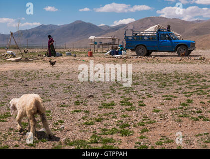 Eine nomadische Qashqai Familie lebt in einem Zelt in der Provinz Fars, Iran. Stockfoto