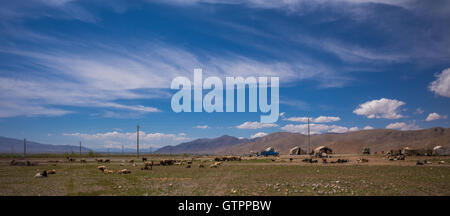 Eine nomadische Qashqai Familie lebt in einem Zelt in der Provinz Fars, Iran. Stockfoto