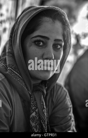 Eine nomadische Qashqai Familie leben in einem Zelt in der Provinz Fars, Iran, Azar, Alter 23. Stockfoto