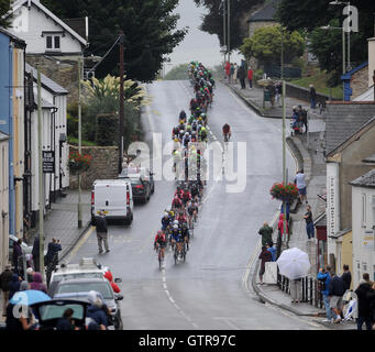 Honiton, Devon, UK, 9. September 2016. Die Tour of Britain, 6. Etappe Sidmouth, Haytor. Das Hauptfeld Köpfe unten einen nassen und windigen Honiton High Street. Bildnachweis: David Partridge / Alamy Live News Stockfoto