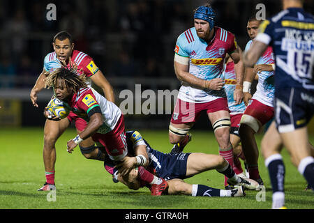 AJ-Bell-Stadion, Salford, UK. 09. Sep, 2016. Aviva Premiership Rugby. Sale Sharks vs. Harlekine. Harlekine Flügel Marland Yarde in Angriff genommen wird. Bildnachweis: Aktion Plus Sport/Alamy Live-Nachrichten Stockfoto