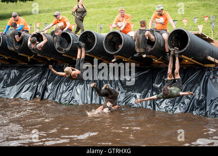 Cheshire, UK 10. September 2016. Wettbewerber springen zurück in das trübe Wasser in Tough Mudder North West 2016 10/09/2016 Credit: Gary Mather/Alamy Live News Stockfoto