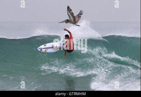 San Clemente, Kalifornien, USA. 10. September 2016. Ein Pelikan scheint pro Surfer MICHEL BOUREZ während seiner Hitze folgen heute Morgen bei der Hurley Pro Trestles surf Contest am Trestles Surfspot in der Nähe von San Clemente, Kalifornien. Er kommt aus Tahiti, französischer Staatsangehörigkeit. Er gewann seinen Vorlauf gegen MIGUEL PUPO, Brasilien. Foto von Charlie Neuman Credit: Charlie Neuman/ZUMA Draht/Alamy Live-Nachrichten Stockfoto