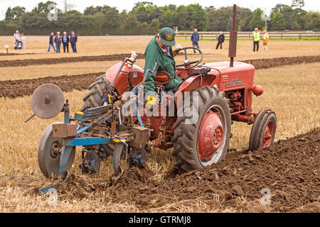 British & World Championships in Crockey Pflügen Hügel York September 2016 Stockfoto