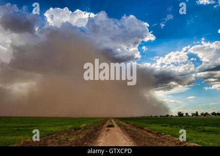 Monsun Sandsturm nähert sich Phoenix, Arizona Stockfoto