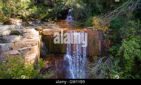 Kellys Wasserfall in der Nähe von Helensburgh in der nördlichen Illawarra Region New South Wales, Australien. Stockfoto